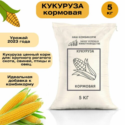 Кукуруза кормовая 5 кг. Незаменимый корм для крупного рогатого скота, кур, гусей, свиней и других животных. Отборные сорта зерновых культур фотография