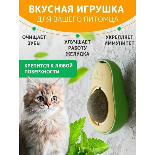 Игрушка для кошек мятное авокадо. Кошачья мята для чистки зубов и расслабляющий эффект на домашних животных. Loloki фотография