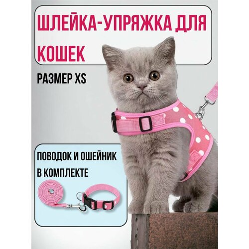 Шлейка для кошек, розовая XS фотография