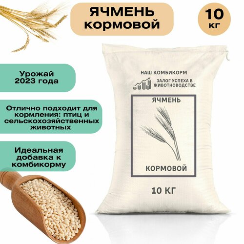 Ячмень кормовой 10 кг. Незаменимый продукт для кормления крупного рогатого скота, свиней, овец, домашней птицы и рыб. Для полноценного питания фотография