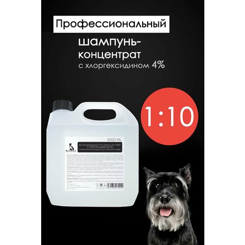 Профессиональный антибактериальный, противомикробный, противогрибковый шампунь для собак всех пород Doctor Groom, 3л фотография