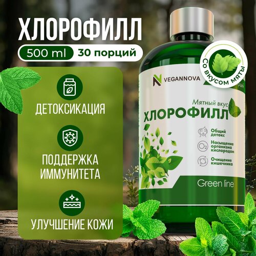 Vegannova БАД Хлорофилл жидкий со вкусом мяты, 30 порций, 500 мл фотография