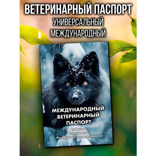 Ветеринарный паспорт для кошек и собак международный фотография