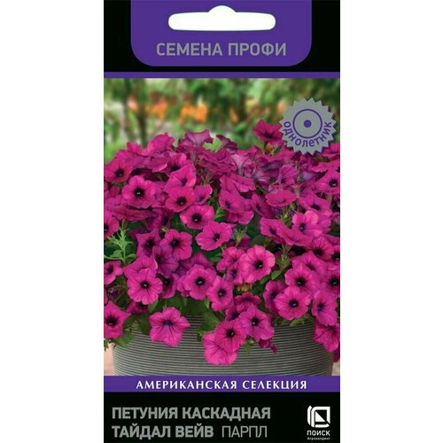 Агрохолдинг поиск Петуния каскадная Тайдал Вейв Парпл 5шт 816771 фотография