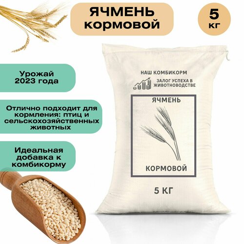 Ячмень кормовой 5 кг. Незаменимый продукт для кормления крупного рогатого скота, свиней, овец, домашней птицы и рыб. Для полноценного питания фотография