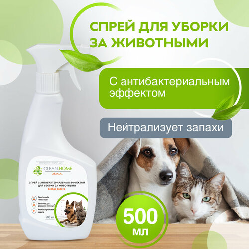 Средство Clean Home антисептик для уборки за животными удаление запахов фотография