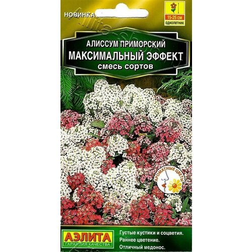 Семена Алиссум Максимальный эффект (смесь сортов) 0,05г (Аэлита) фотография