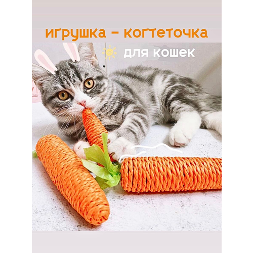 Игрушка для кошек котят собак фотография