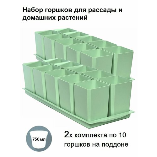 Горшки для рассады и цветов, комплект из 20 горшков и 2 общих поддонов, мятный фотография