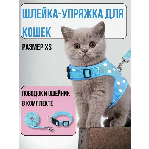 Шлейка для кошек, голубая XS фотография