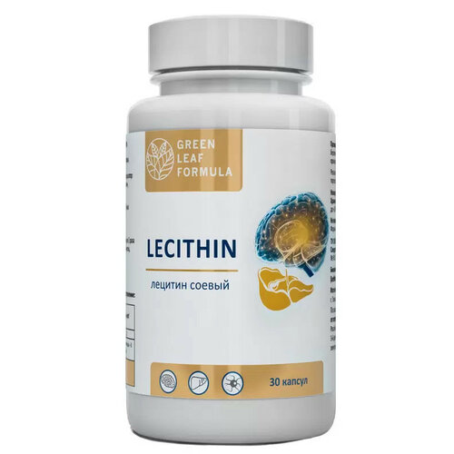 LECITHIN Лецитин соевый (2 банки), эссенциальные фосфолипиды, витамины для мозга, для памяти, для спорта, для печени, для сердца и сосудов фотография