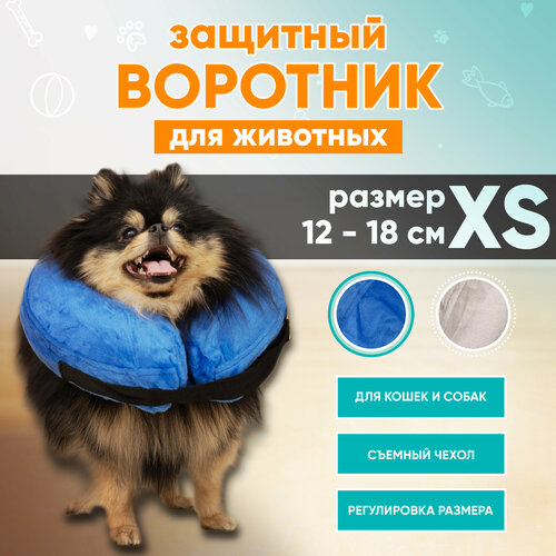 Защитный ветеринарный воротник для собак и кошек Mr Dog, XS фотография