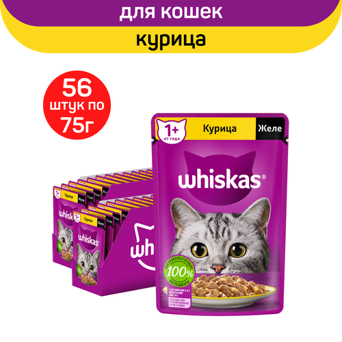 Влажный полнорационный корм Whiskas для взрослых кошек, желе с курицей, 75г. х 56шт. фотография