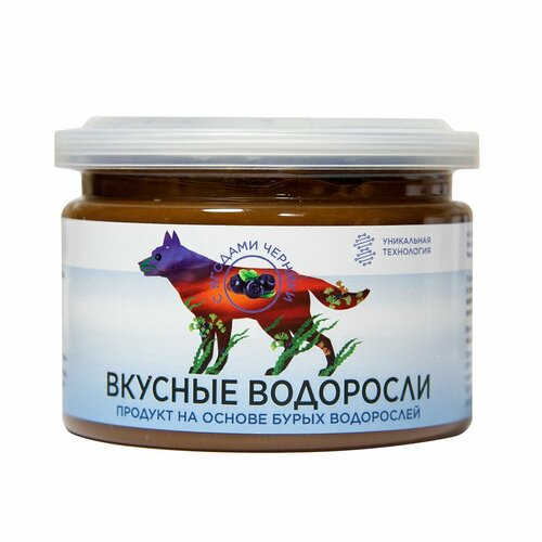 NativBio. Вкусные водоросли с ягодами черники - продукт здорового питания из водоросли фукус. (Органические витамины, морской йод, макро-микроэлементы), 300 гр фотография