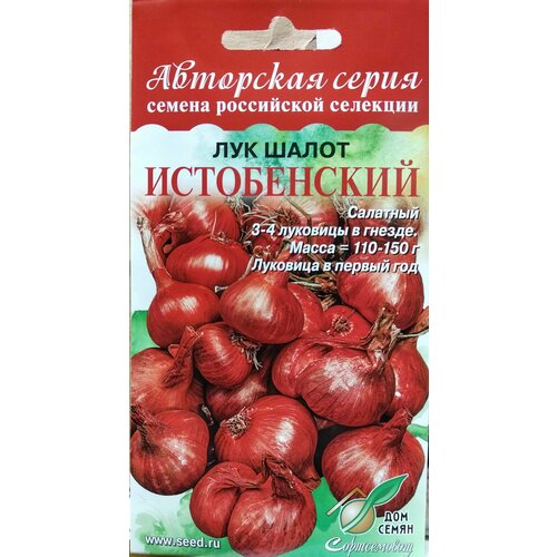 Лук Шалот Истобенский, семейный салатный лук, 3-4 луковицы в гнезде, мякоть белая сочная нежная, высокая урожайность, луковица в первый год, 17 семян фотография