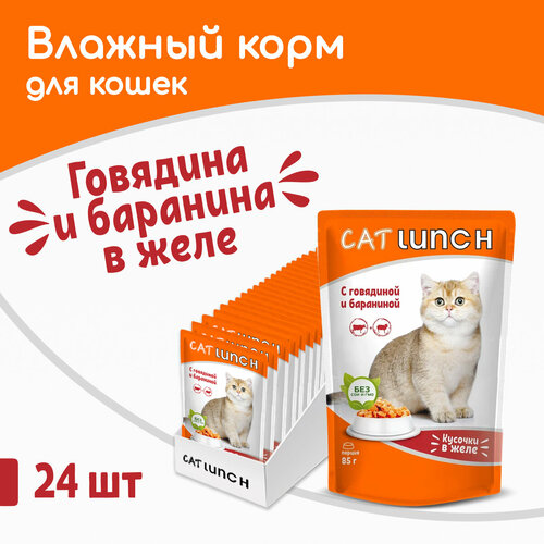 Влажный корм для кошек Cat Lunch кусочки в желе Говядина и Баранина, пауч 85гх24шт фотография