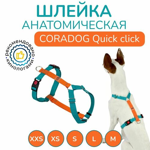 Шлейка прогулочная анатомическая для средних пород собак, CORADOG Quick click, размер S, цвет бирюзовый, оранжевый фотография