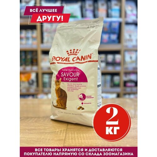 Корм сухой Royal Canin Savour для привередливых кошек 2 кг фотография