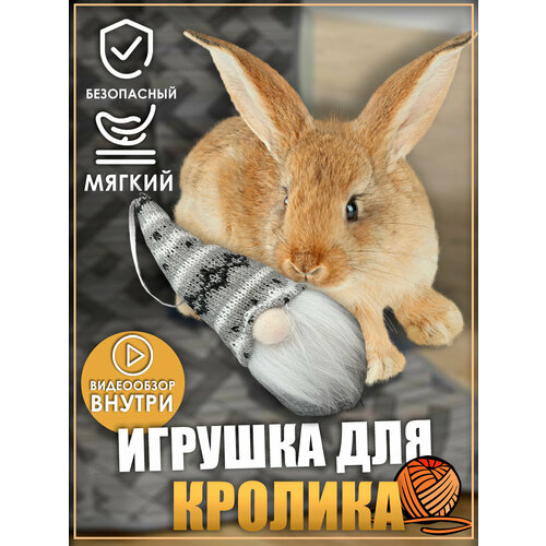 Игрушка для кролика, гномик, игрушки для грызунов, игрушки для животных фотография