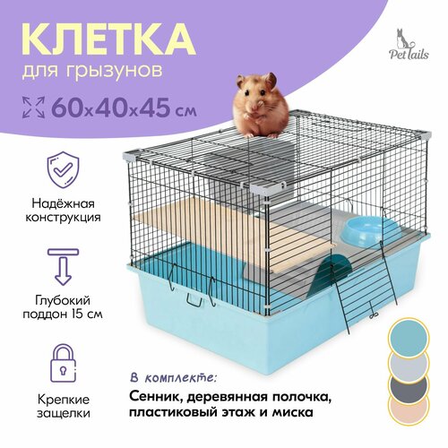 Клетка ГЕРА-1 