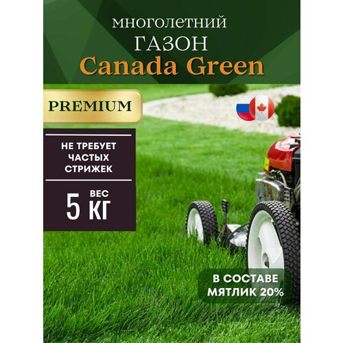 Газонная трава семена низкорослый 5 кг Canada Green Premium фотография