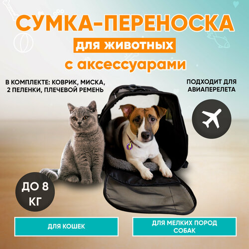 Сумка переноска для кошек и собак + аксессуары в комплекте фотография