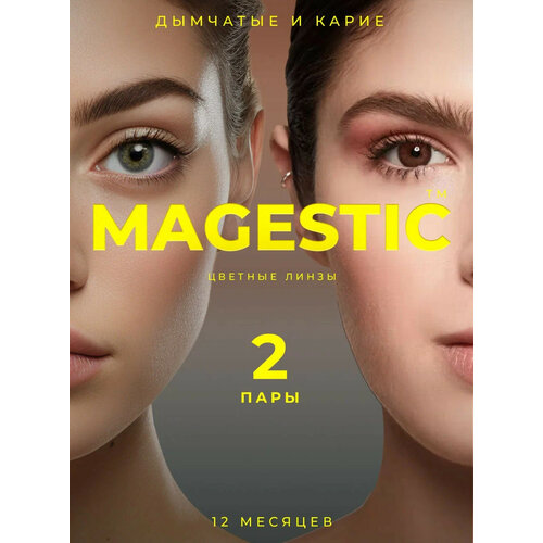 Контактные линзы MAGESTIC цветные набор, 4 шт., R 8,6, D 0, дымчатый/карий, 2 уп. фотография