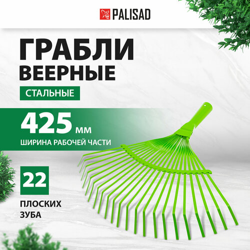 Грабли веерные PALISAD 617705 раздвижные без черенка (38 см) фотография