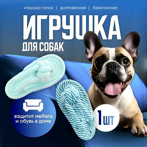 фотография Игрушка для собак, грызунок, для мелких пород, купить за 195 р