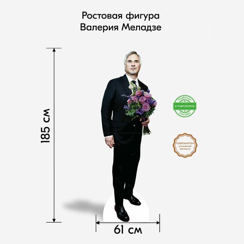 Аксессуар для фотосессий, Indoor-ad, Валерий Меладзе 5 ростовая фигура фотография