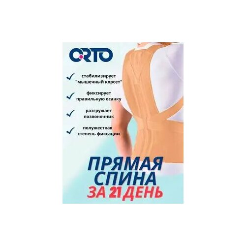 ORTO КГК 110. Корсет грудо-пояснично-крестцовый (XL-1 / Бежевый) фотография