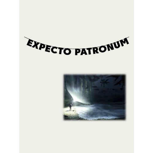 Гирлянда бумажная растяжка из букв черная - EXPECTO PATRONUM фотография