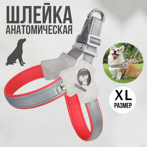 Анатомическая шлейка для собак, красная, размер XL фотография