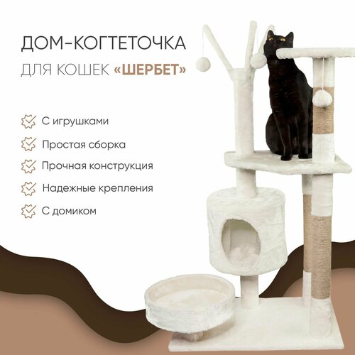 Когтеточка-комплекс для кошек, для котов, для животных, 