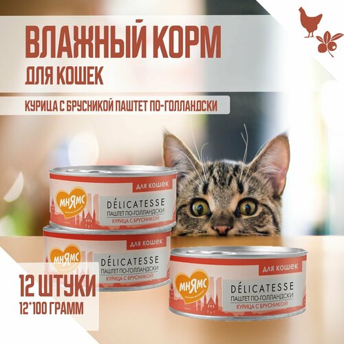 Влажный корм Мнямс для кошек 