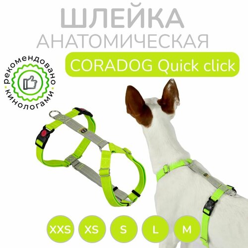 Шлейка прогулочная анатомическая для мелких пород собак и кошек, CORADOG Quick click, размер XXS, цвет салатовый, серый фотография