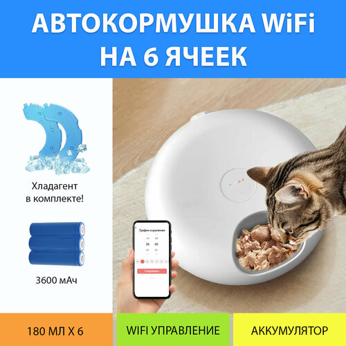 Автоматическая кормушка WiFi для влажного и сухого корма. Автокормушка секционная 6 ячеек на аккумуляторе, с хладагентом от MY PET`S GADGETS фотография