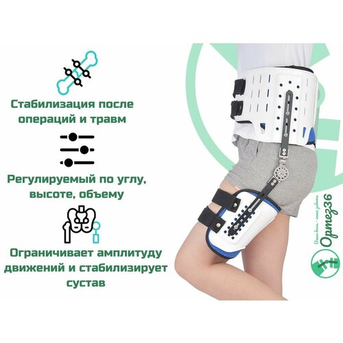 Ортез на тазобедренный сустав иммобилизирующий регулируемый ORTOBRACE TRB-061 (размер 2) фотография