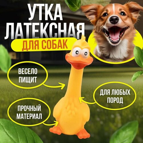 Игрушка для собак щенков 