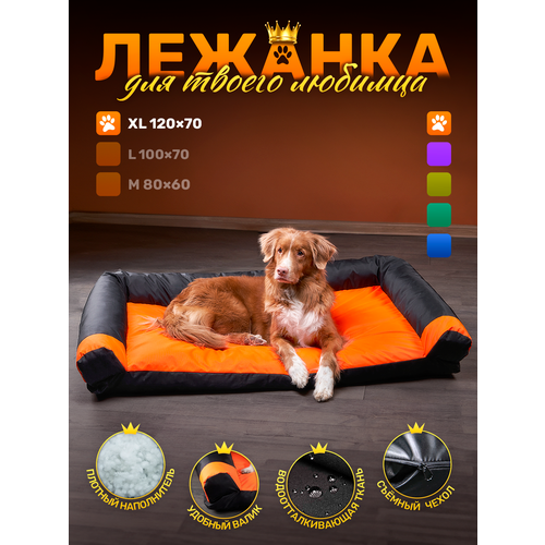 Диван-лежак антивандальный для собак очень крупных пород 120*70см Orange / black фотография