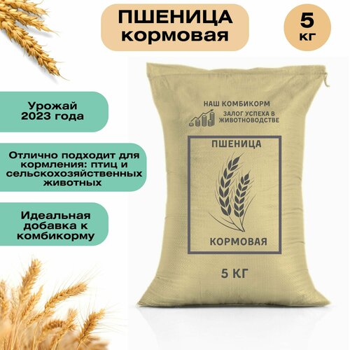 Пшеница кормовая 5 кг. Незаменимый продукт для сельскохозяйственных животных, подходит для кормления птицы, кроликов и КРС фотография