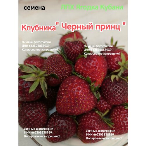 Семена клубники 