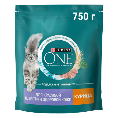 Сухой корм Purina ONE® для взрослых кошек для красивой шерсти, здоровой кожи и контроля образования волосяных комков с курицей 750 г фотография