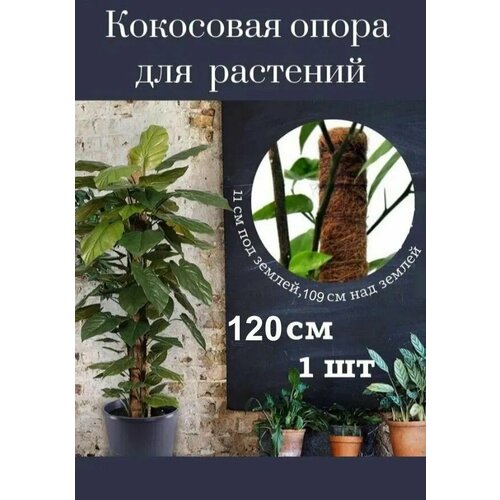 Кокосовая опора для комнатных и садовых цветов, держатель для растений в оплетке, 120 см , 1 шт. фотография