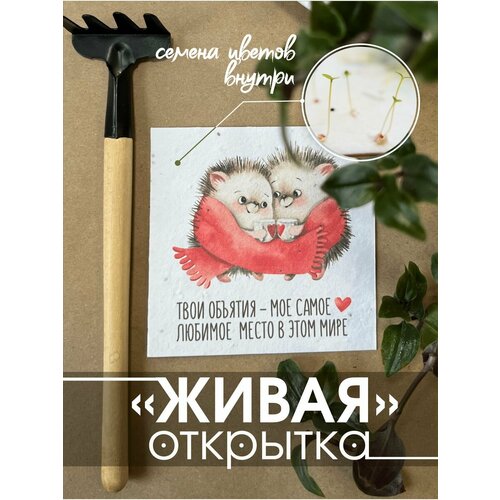 Открытки Istok EcoShop Живая открытка для любимой фотография