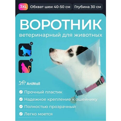 Воротник пластиковый 30 см фотография