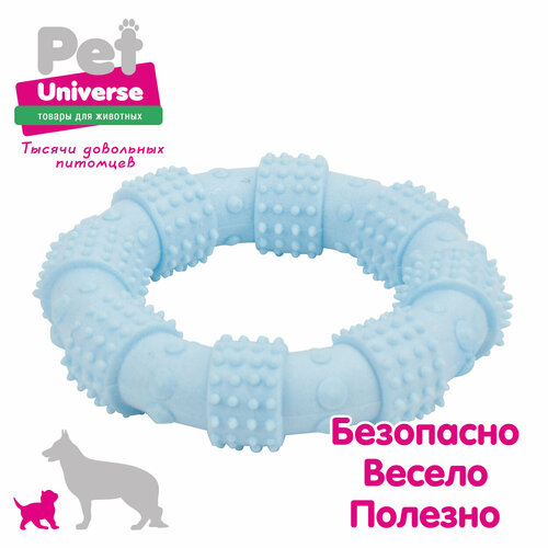 Игрушка для собак Pet Universe многофактурное кольцо с пупырышками 12х3 см, ТПР, синий, PU3062BE фотография