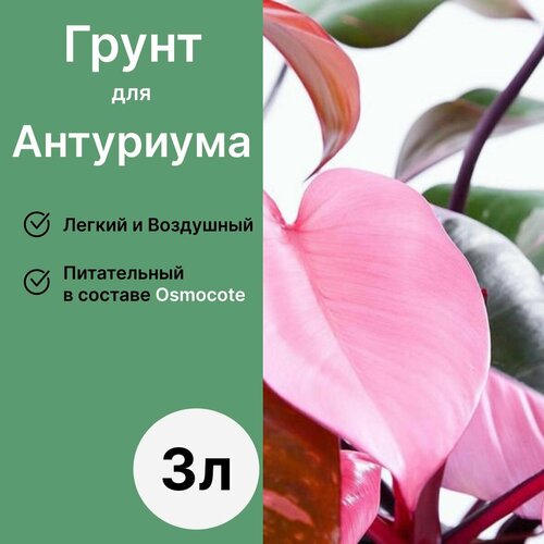 Грунт для Антуриума 3л / Бионика фотография