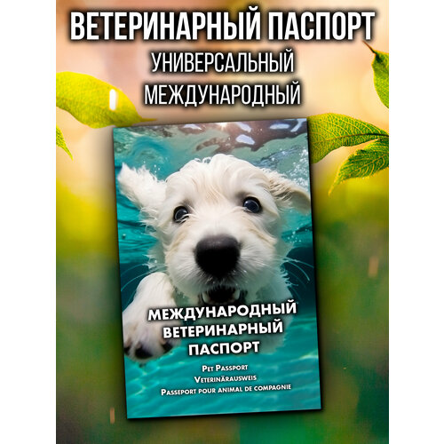 Ветеринарный паспорт для кошек и собак международный фотография