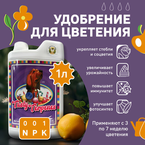 фотография Удобрение для метаболизма/ усилитель вкуса Advanced Nutrients Tasty Terpenes 1 л., купить за 5423 р